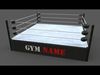 PBR Modular Professional Wrestling Rings 18ftx18ft Low-poly 3D model_1