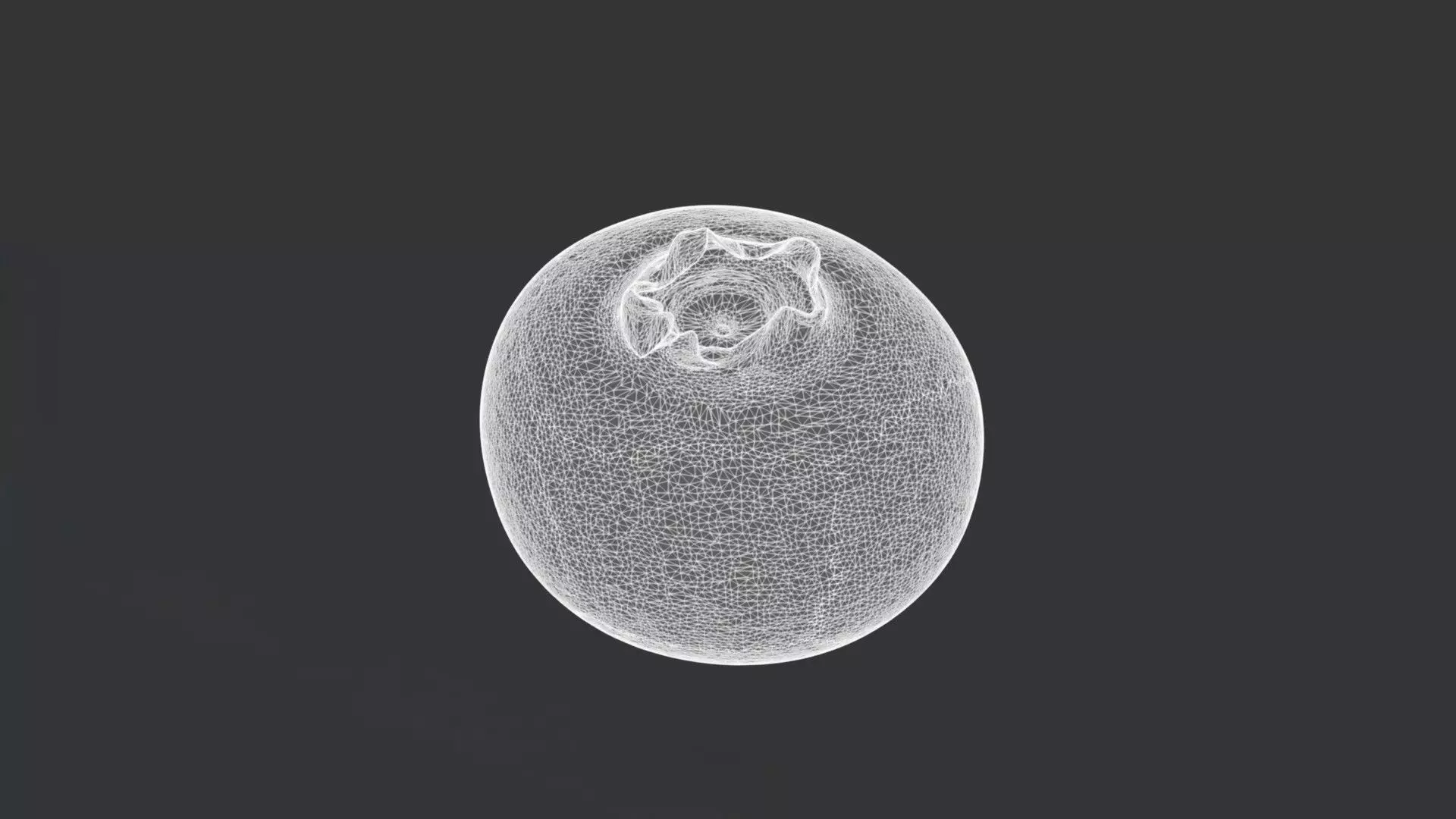 A Blueberry 3D model_3