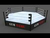 PBR Modular TNA Six sided Hexagon Wrestling Rings Low-poly 3D model_1
