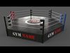 PBR Modular TNA Six sided Hexagon Wrestling Rings Low-poly 3D model_2
