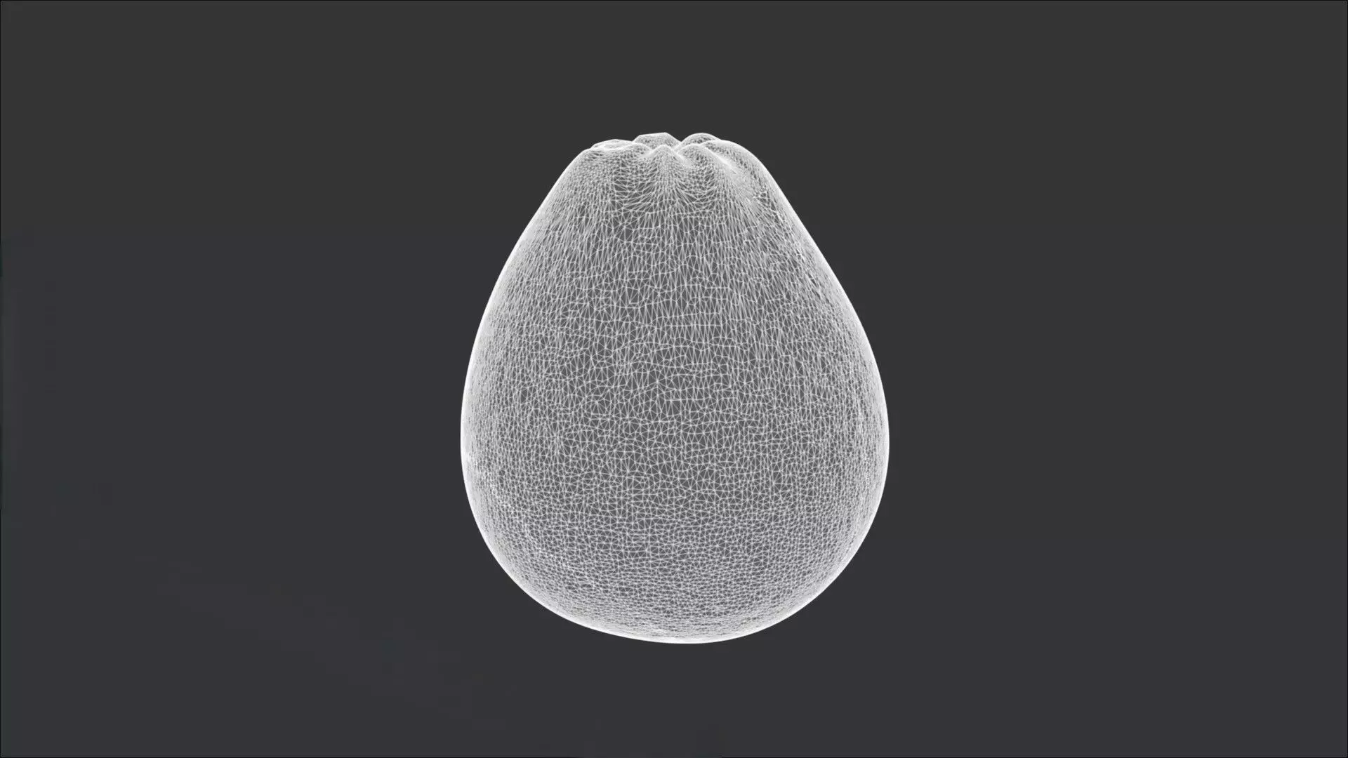 A Pomelo 3D model_3