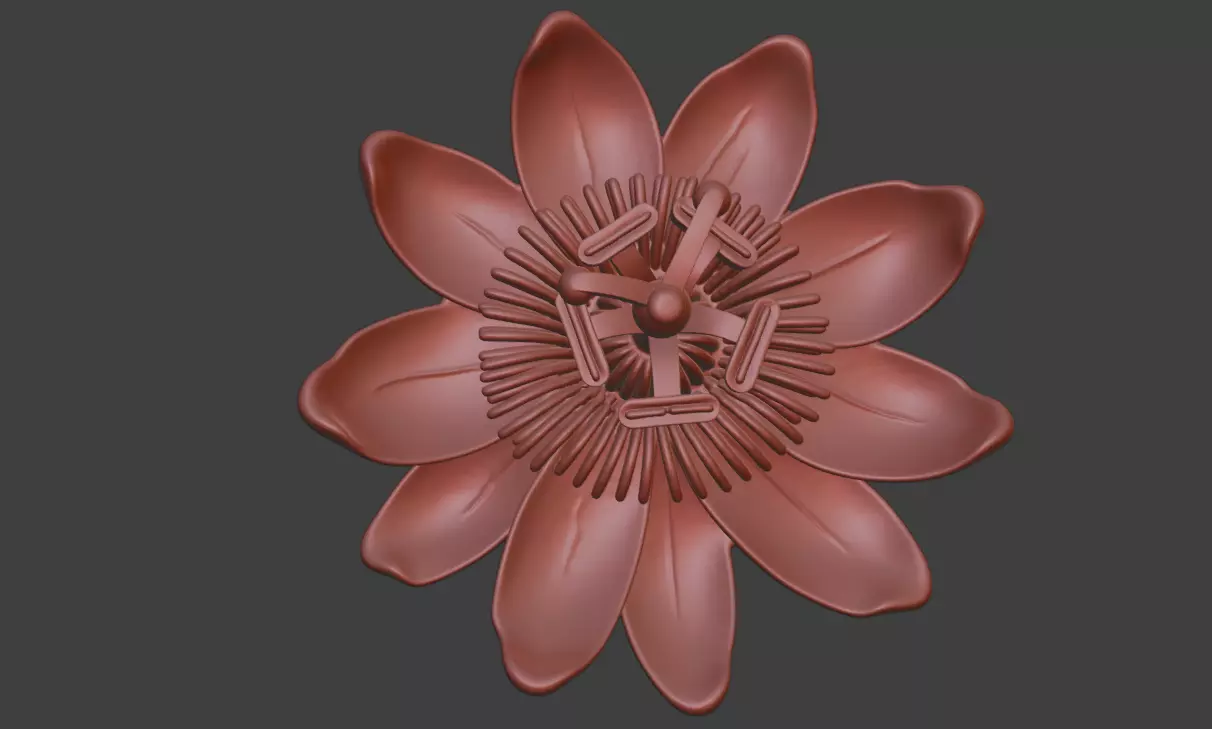 Passion fruit flower sculpture design 3d fresh flowers 3D print model_5