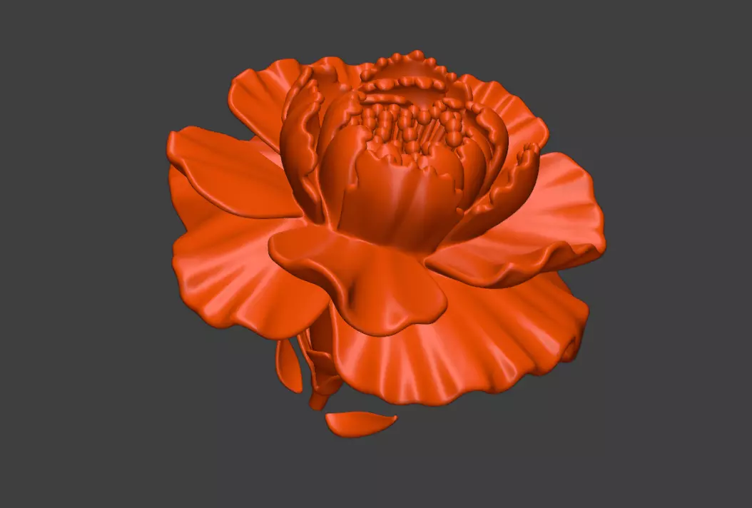 A 3D model of a carnations flower 3D print model