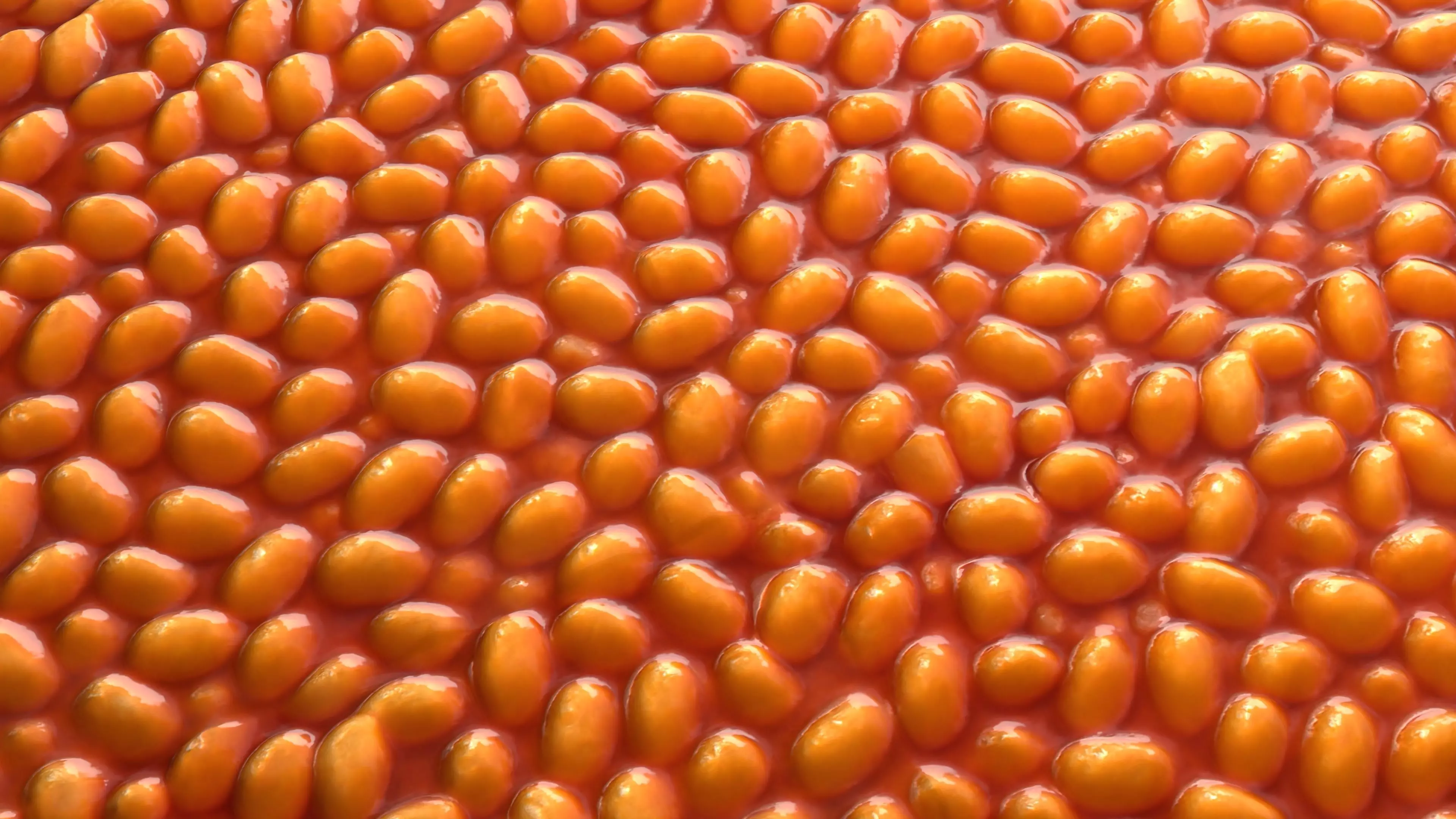 Baked Beans PBR Texture Texture_0