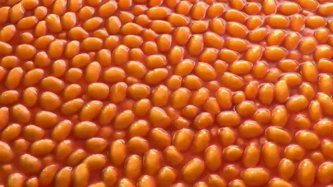 Baked Beans PBR Texture