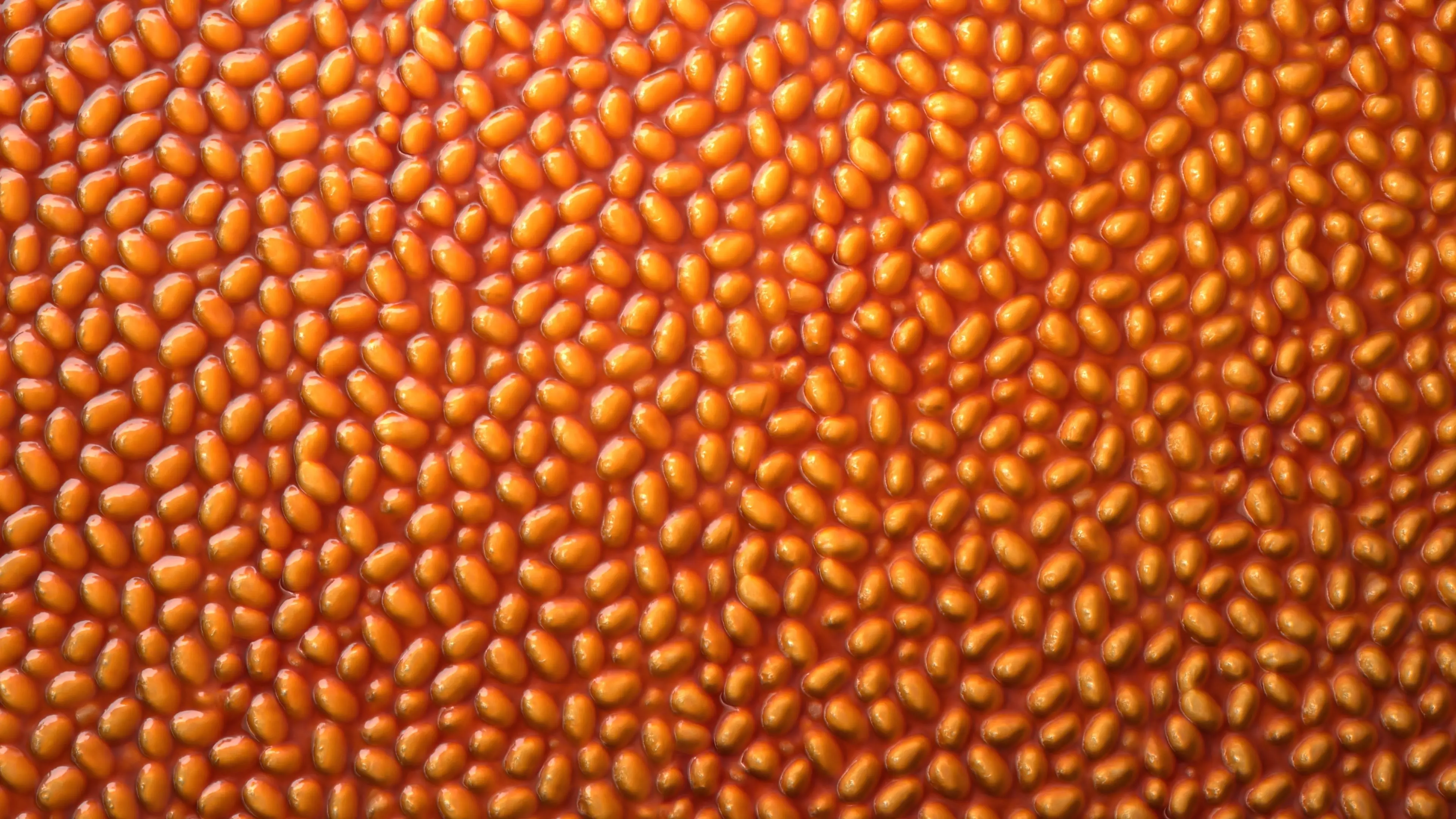 Baked Beans PBR Texture Texture_3