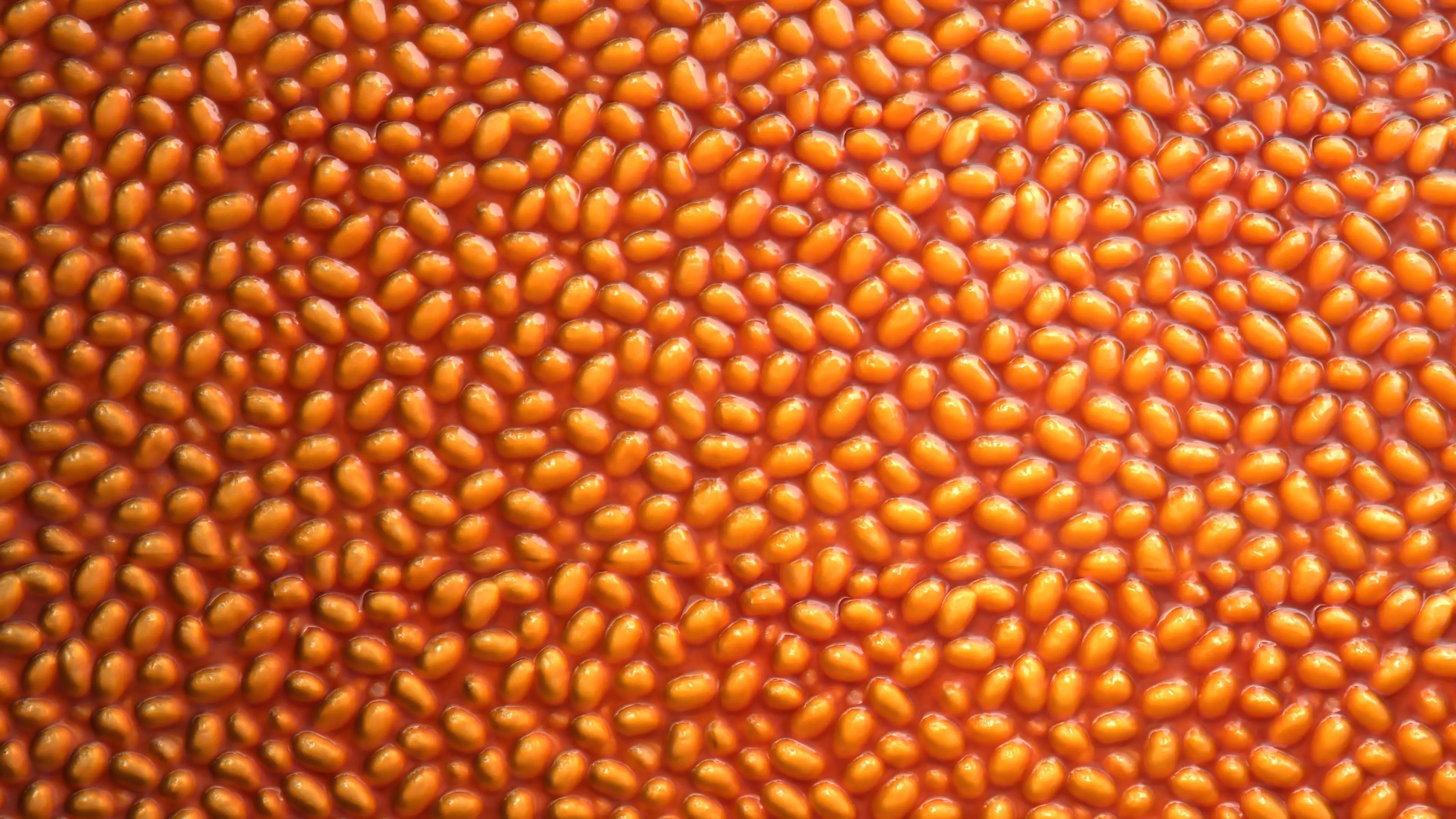 Baked Beans PBR Texture Texture_1