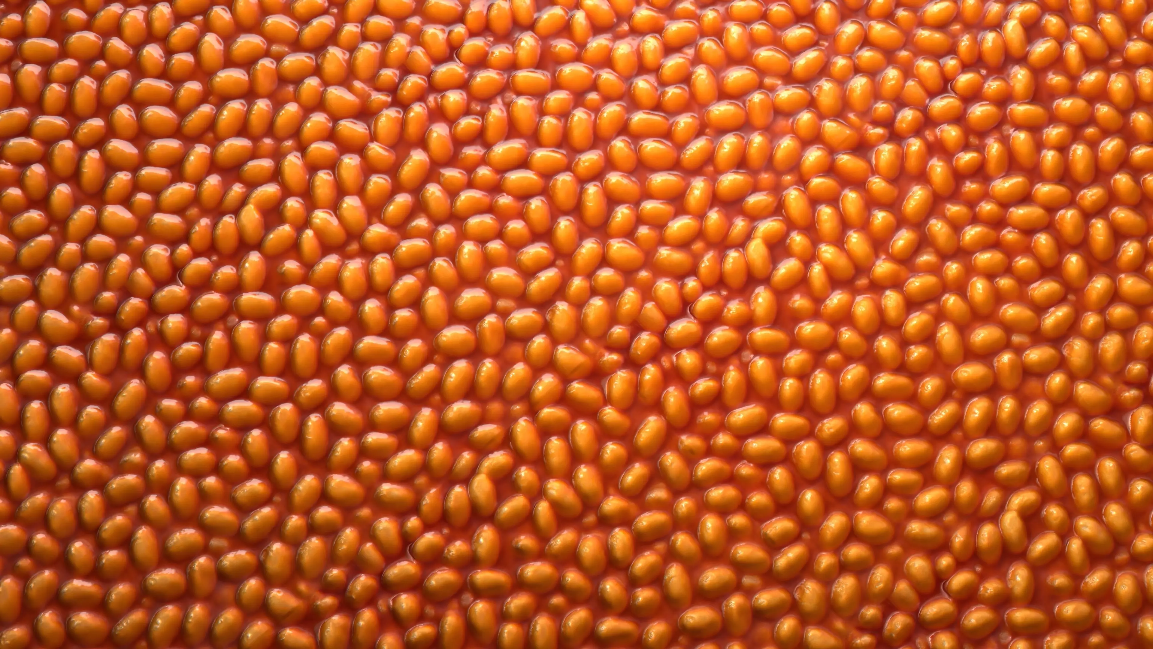 Baked Beans PBR Texture Texture_4