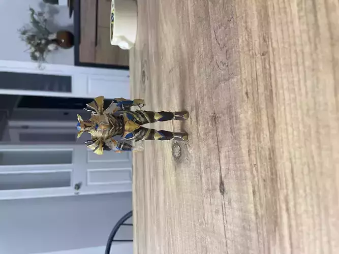 Knight Online Karus Barbarian Warrior