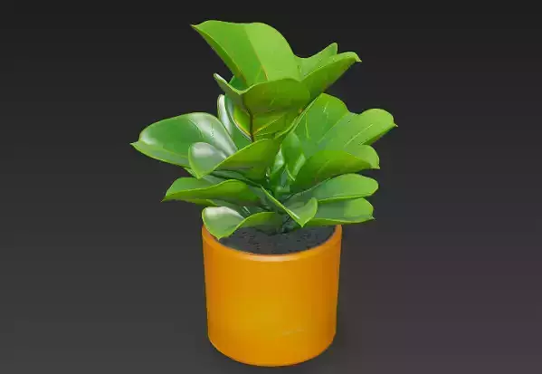 3D potted plant model