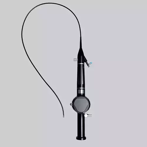 FLEXIBLE URETERORENOSCOPE