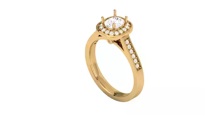 Women Ring  Render 3dm STL OBJ FBX Details