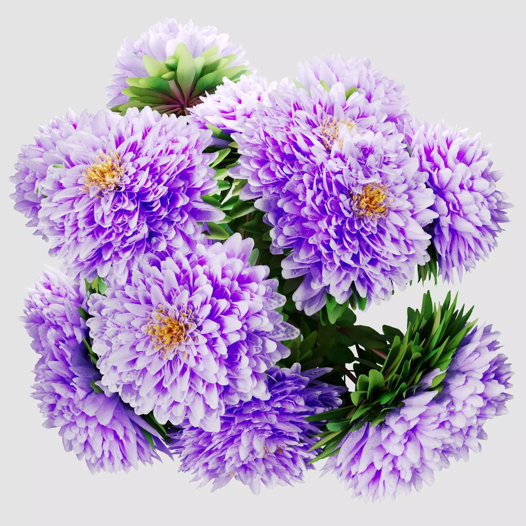Bouquet of aster flowers 3D model_17