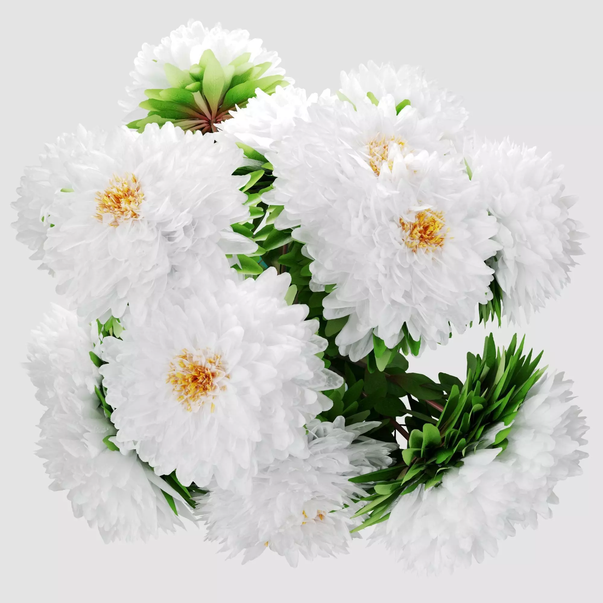 Bouquet of aster flowers 3D model_13