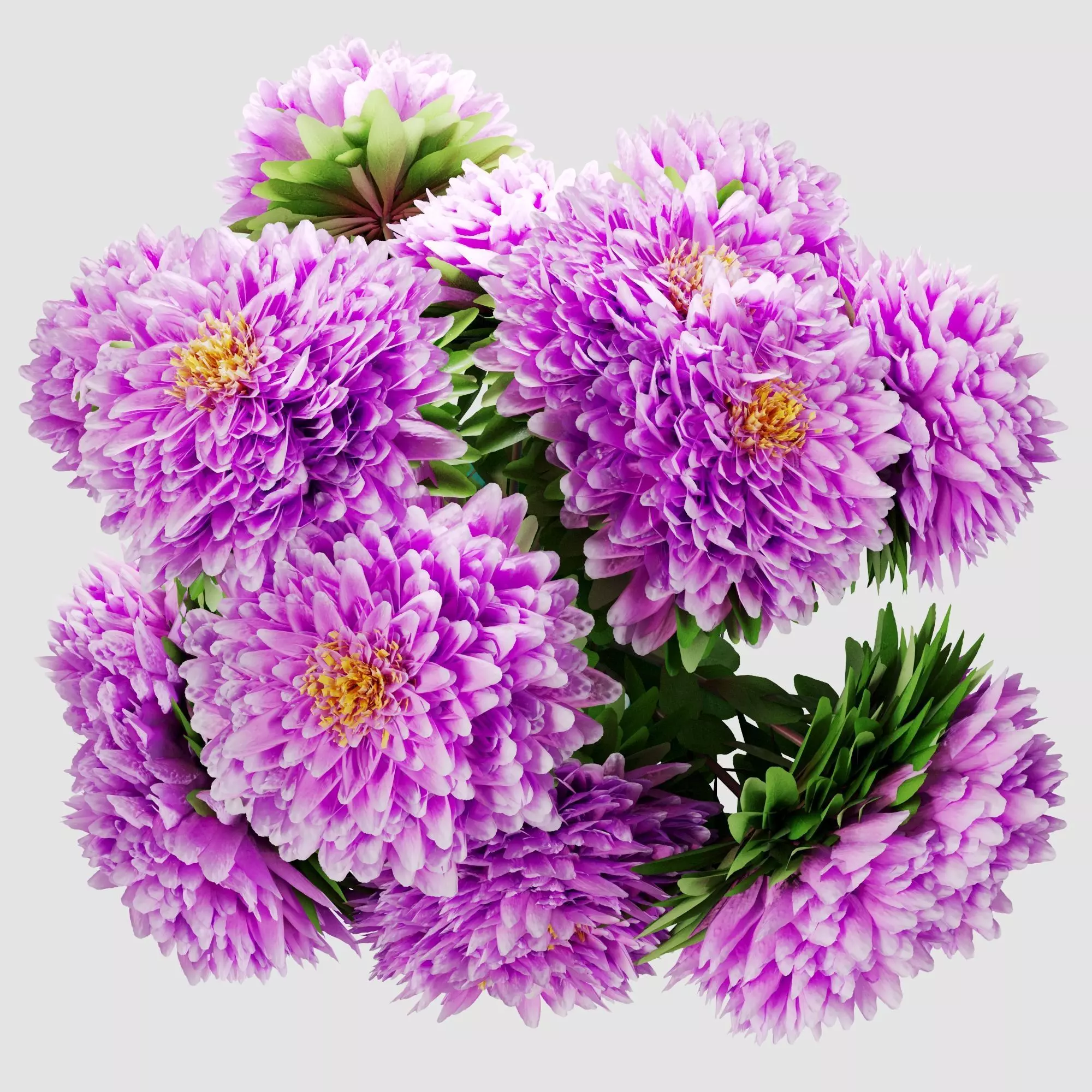 Bouquet of aster flowers 3D model_15