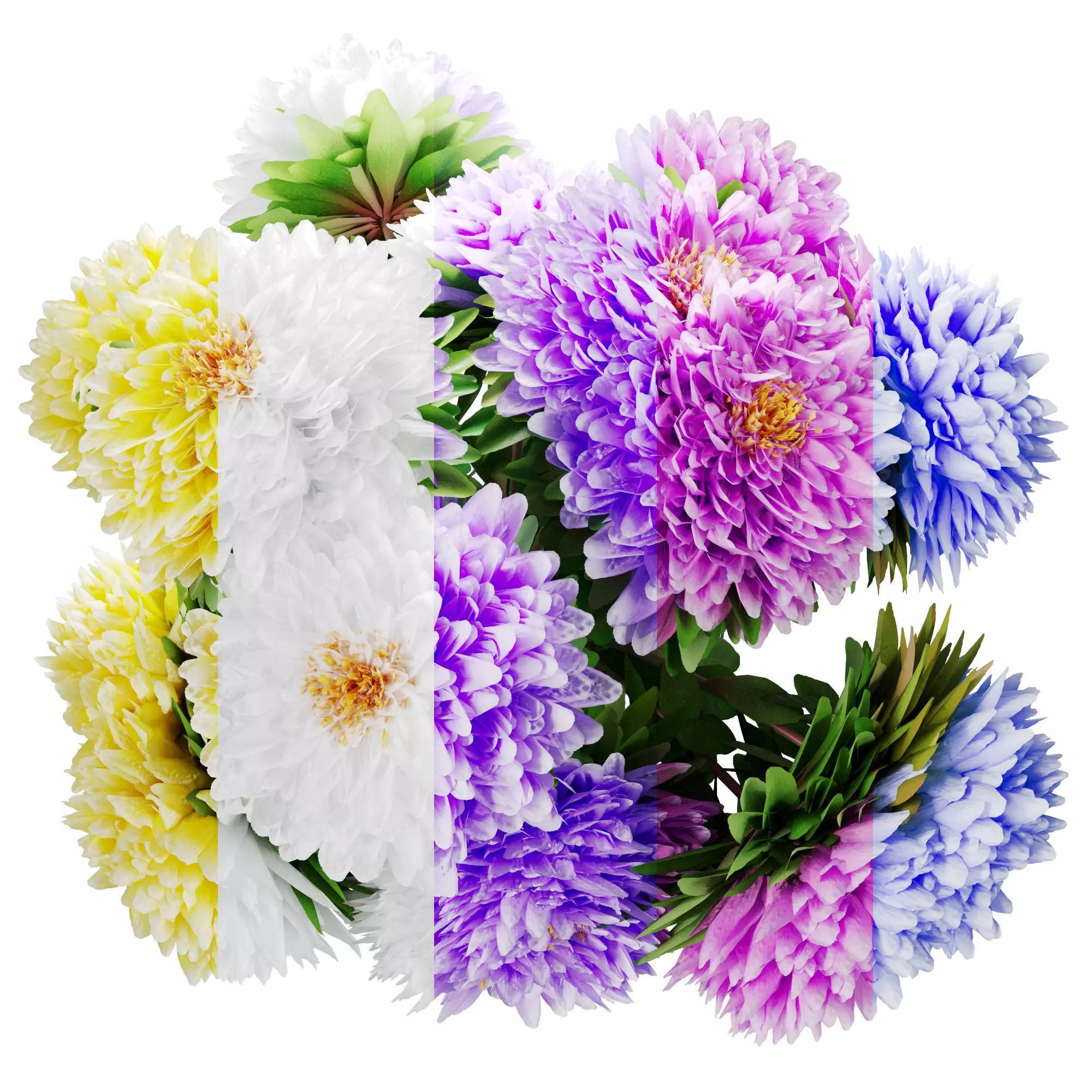 Bouquet of aster flowers 3D model_1