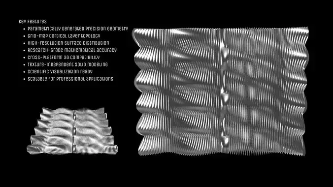3D Cortical Layer-Version 2-33300-Solid Structure