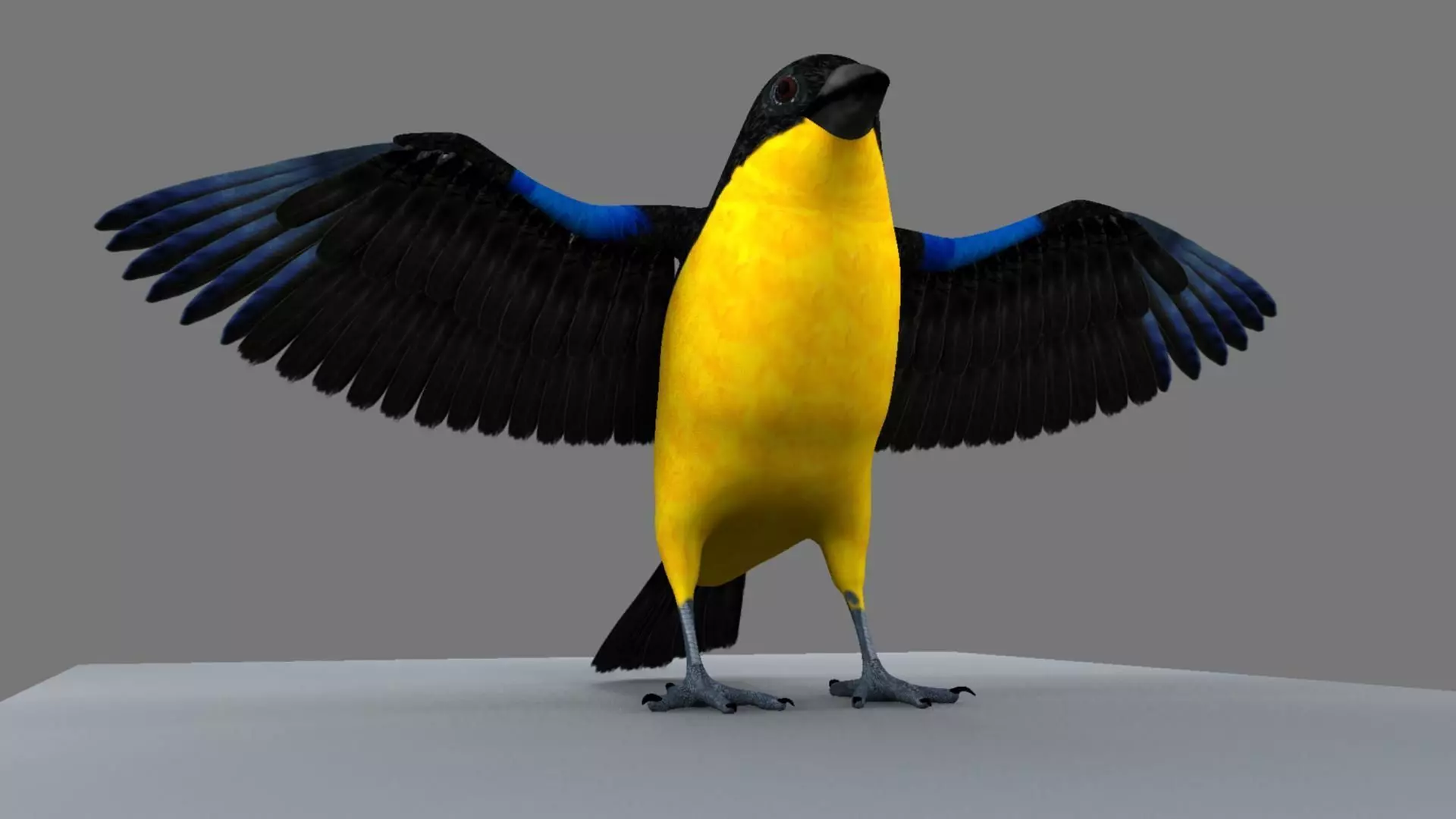 Blue winged mountain tanager Rigged Skinned with Blend shapes 3D model