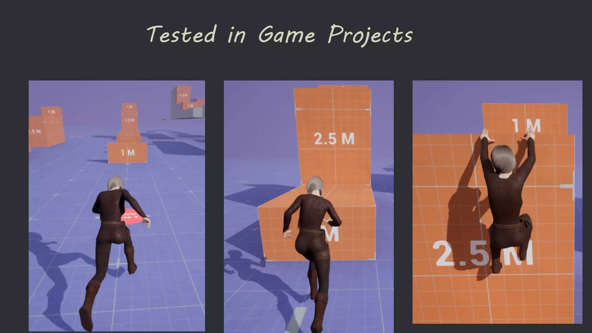 Rogue Low-poly 3D model_14