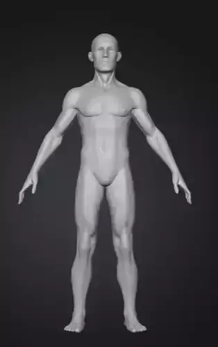 Low Poly Male Human Base Mesh  Clean Quad Topology 