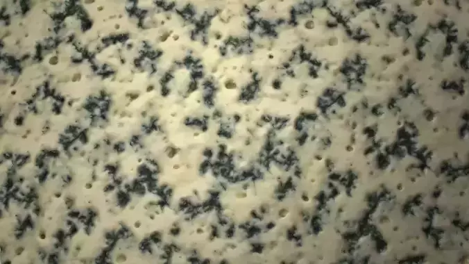 Blue Cheese PBR Texture Texture