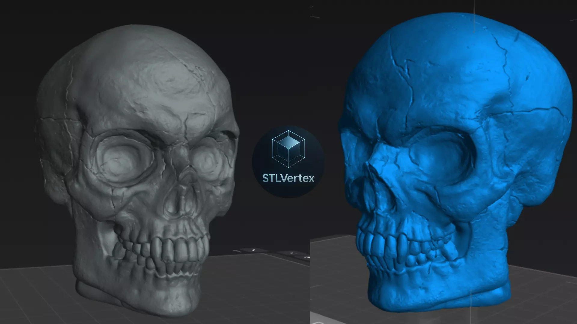 Skull  3D Printable Model 3D print model_4