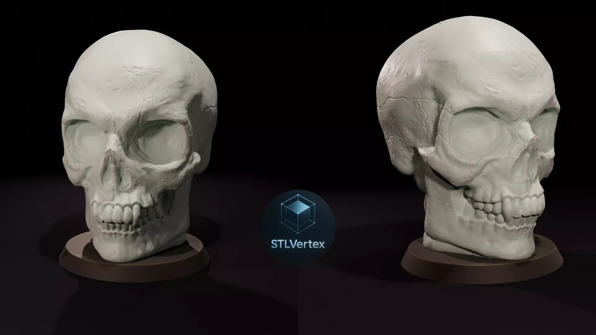 Skull  3D Printable Model 3D print model_2