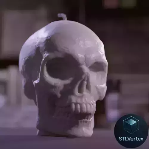 Skull  3D Printable Model 3D print model