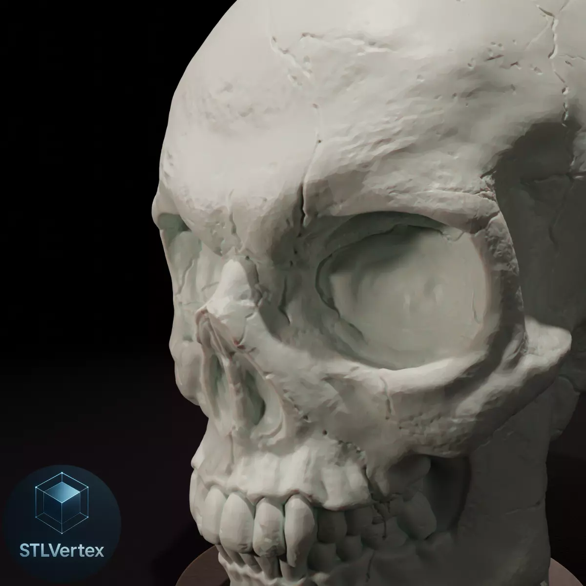 Skull  3D Printable Model 3D print model_1
