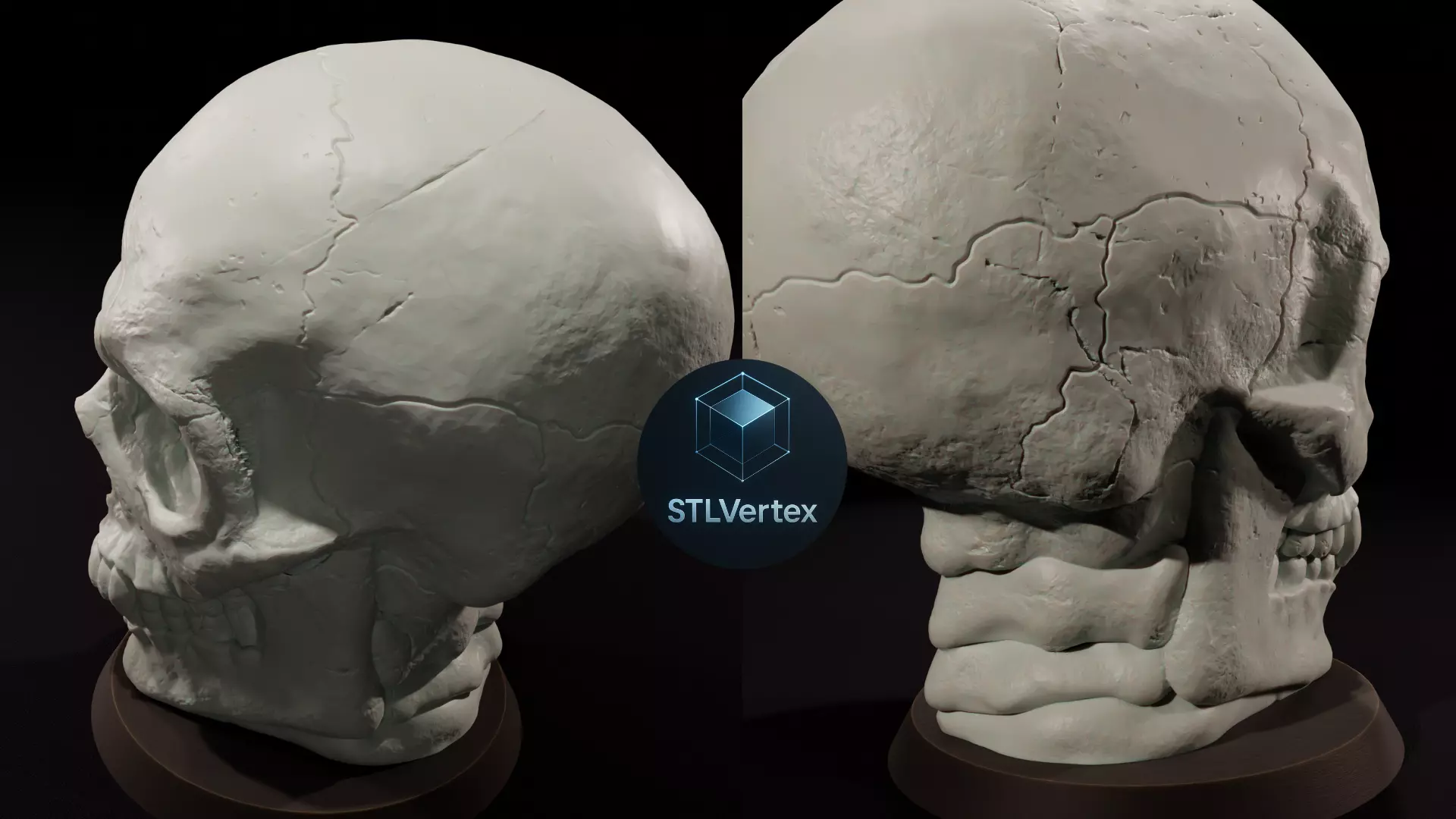 Skull  3D Printable Model 3D print model_3