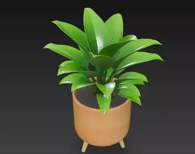 Pot Plant 3d Model