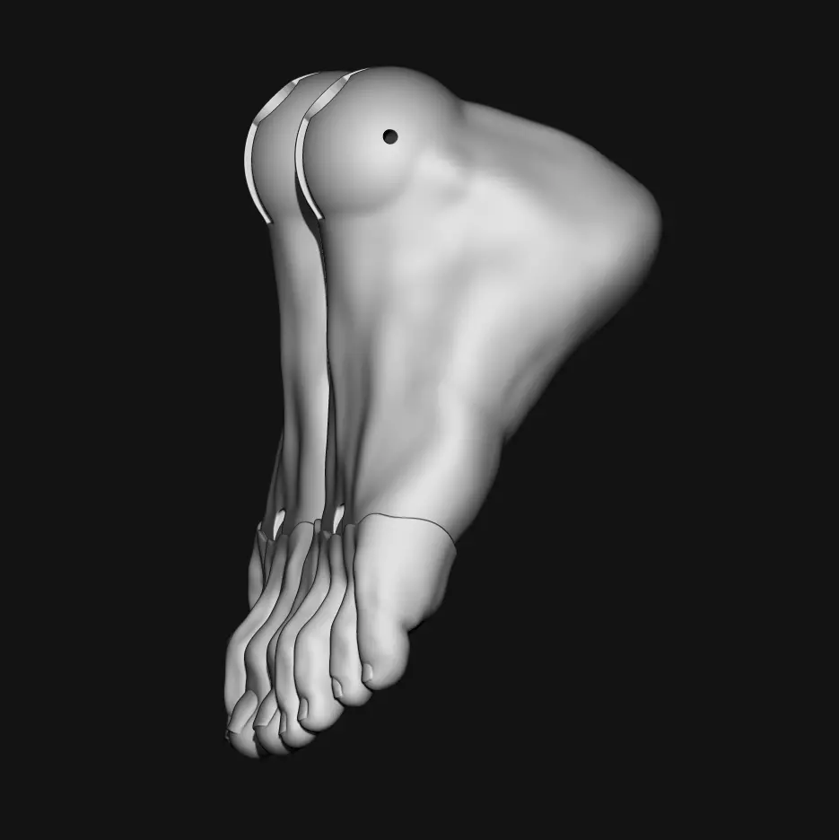 3D Model BJD Feet STL Files for Ball Jointed Dolls 3D model_3