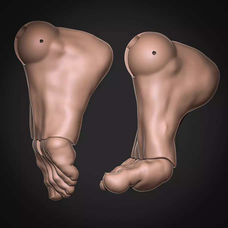 3D Model BJD Feet STL Files for Ball Jointed Dolls 3D model_0