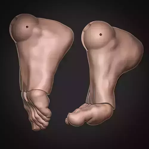 3D Model BJD Feet STL Files for Ball Jointed Dolls