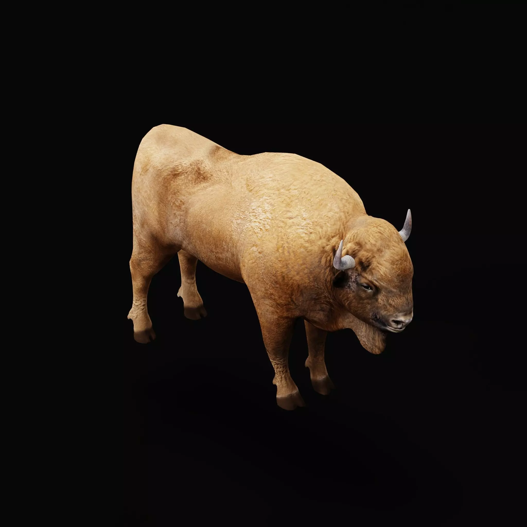 European Bison Wisent Low-poly 3D model_11