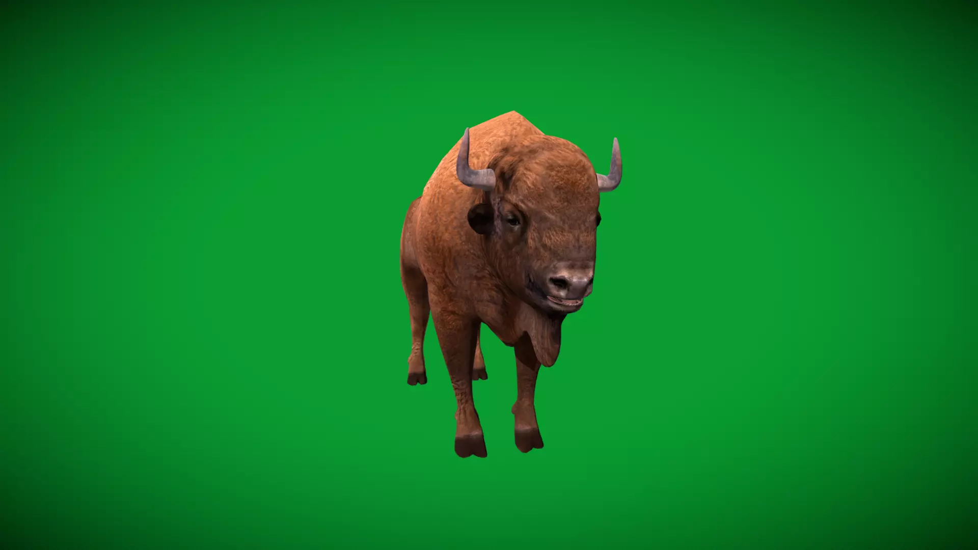 European Bison Wisent Low-poly 3D model_45