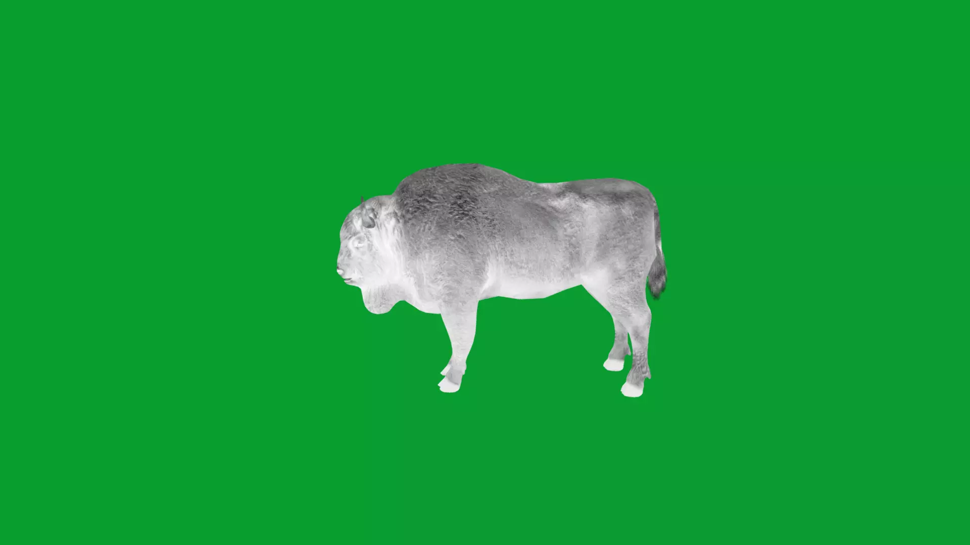 European Bison Wisent Low-poly 3D model_34