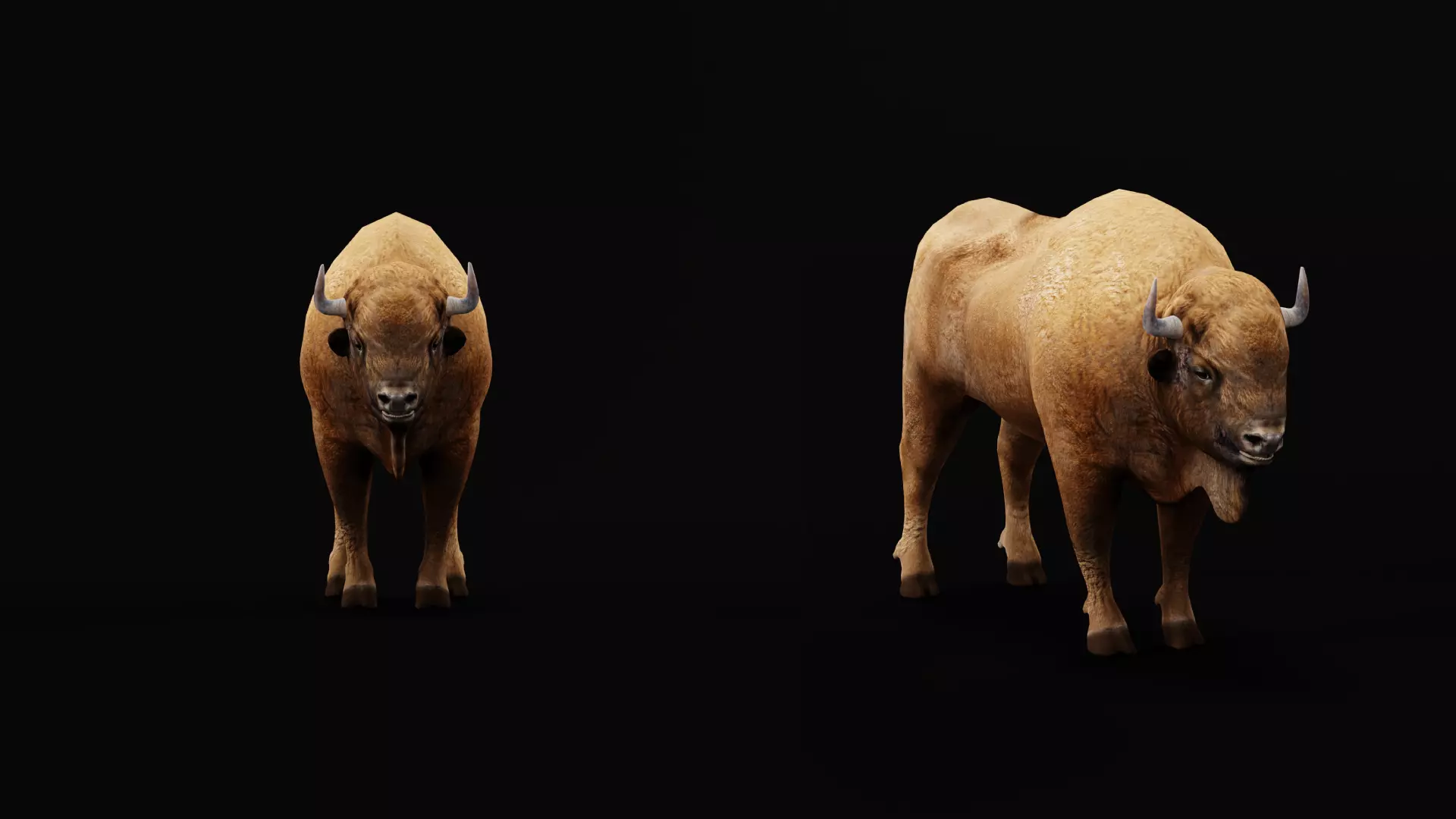 European Bison Wisent Low-poly 3D model_25