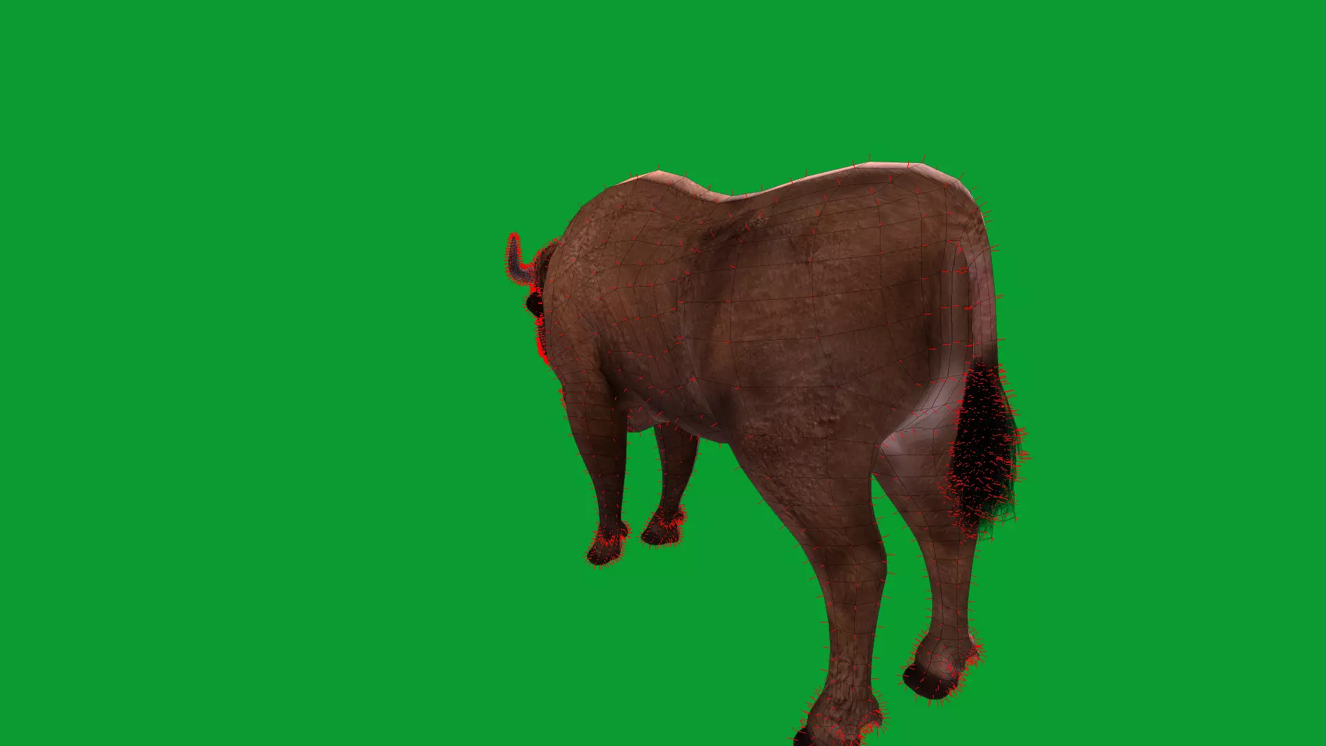 European Bison Wisent Low-poly 3D model_24