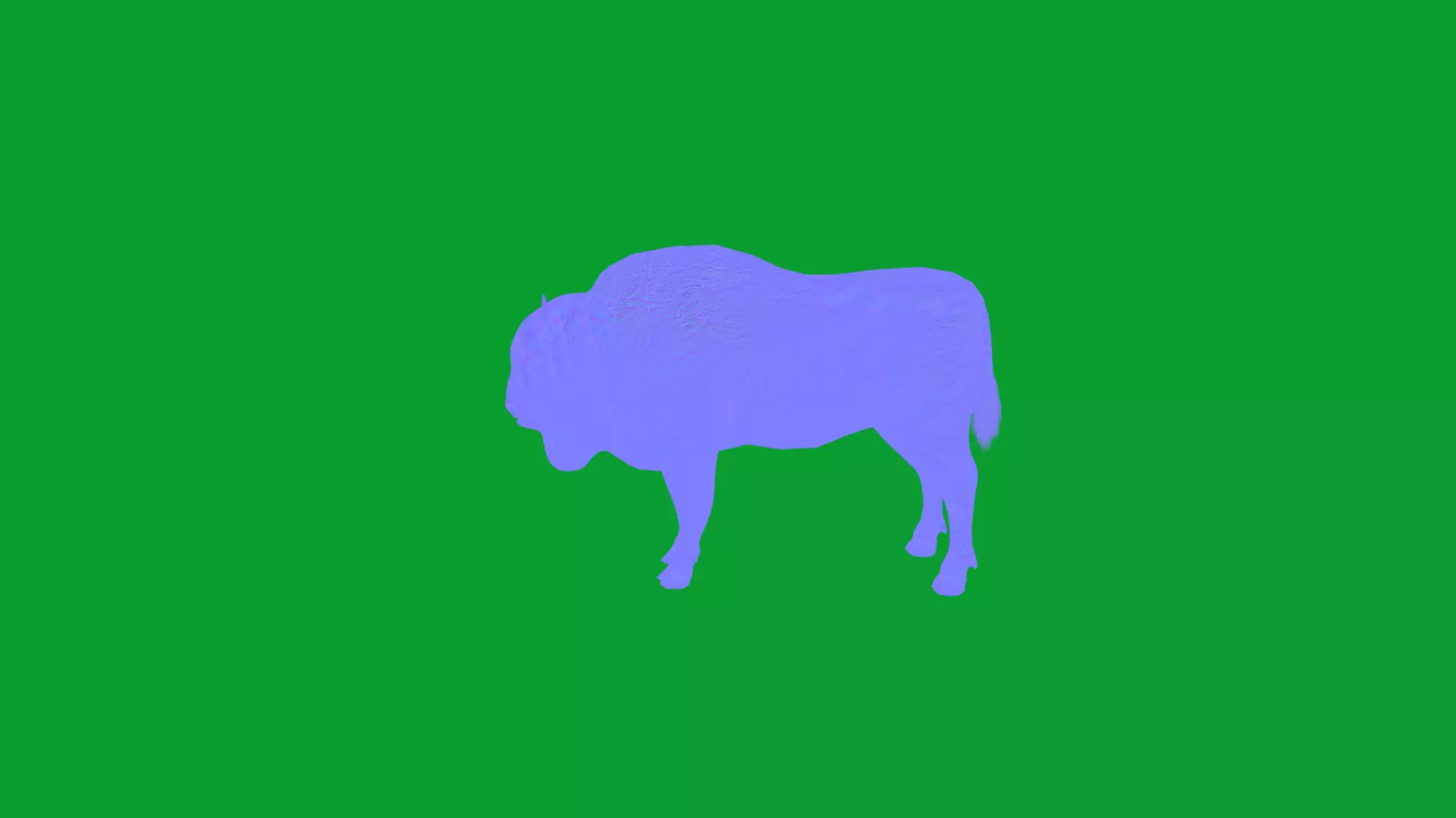 European Bison Wisent Low-poly 3D model_29