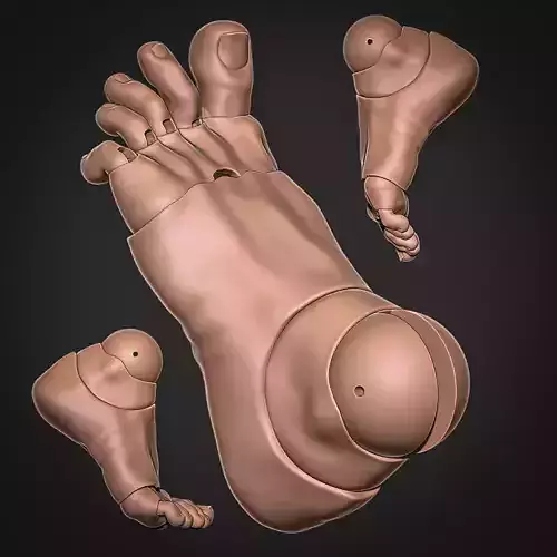  Printable STL Feet for BJD Dolls 3D Model Doll 