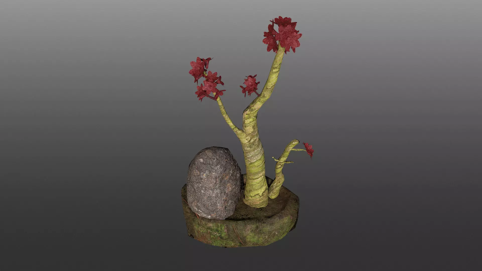 Bonsai Pot Low-poly 3D model_4