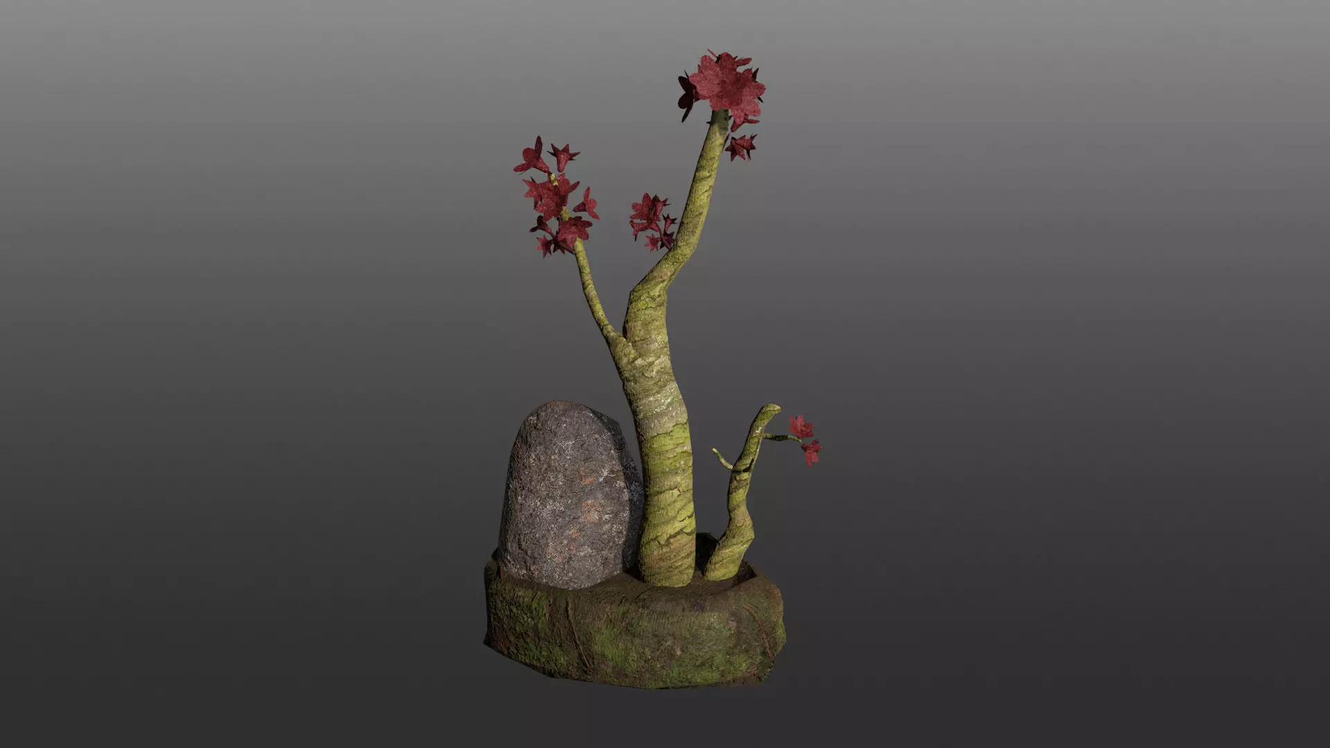 Bonsai Pot Low-poly 3D model_1