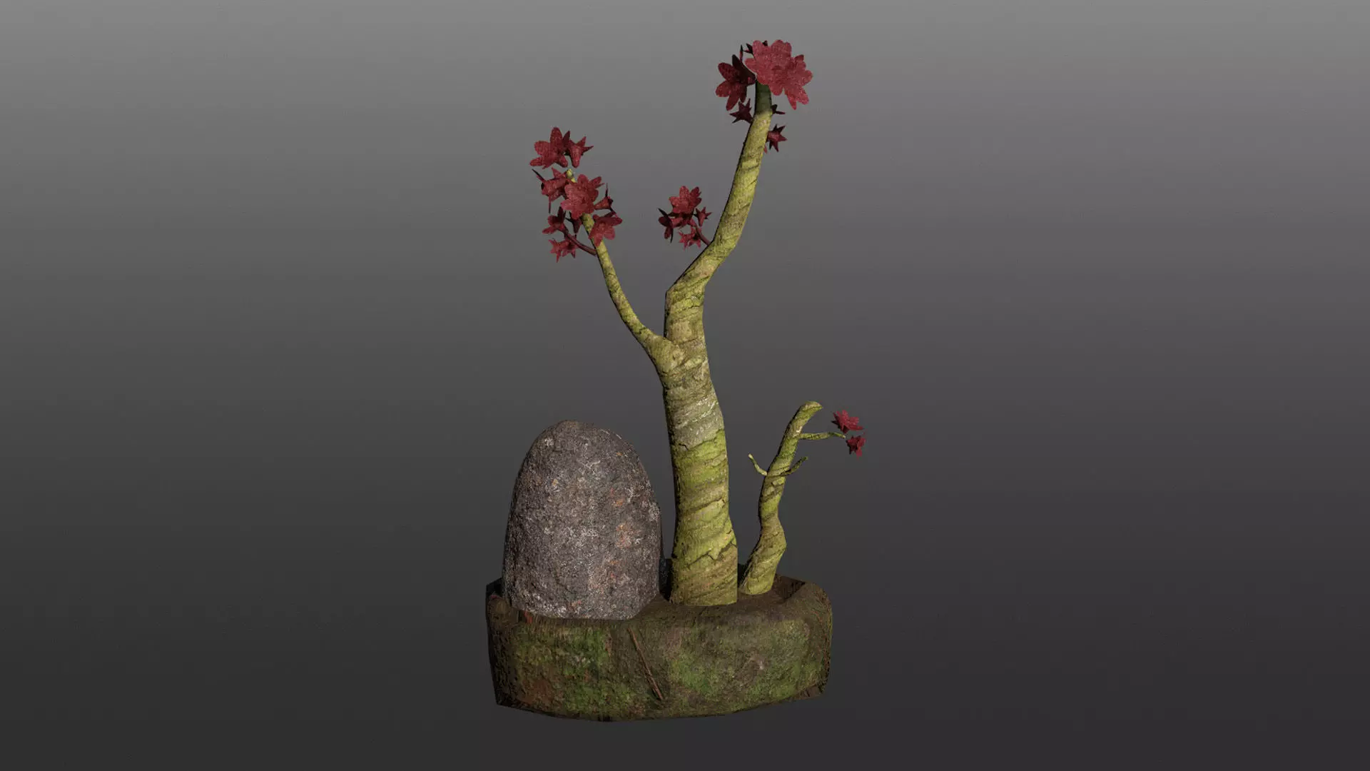 Bonsai Pot Low-poly 3D model_0