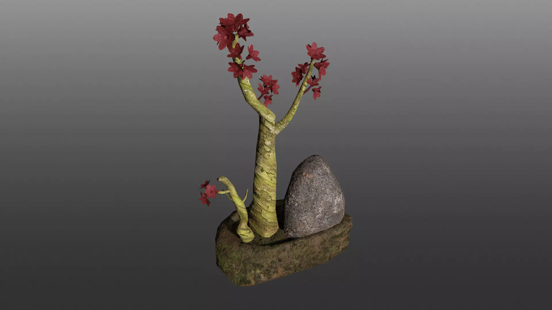 Bonsai Pot Low-poly 3D model_2