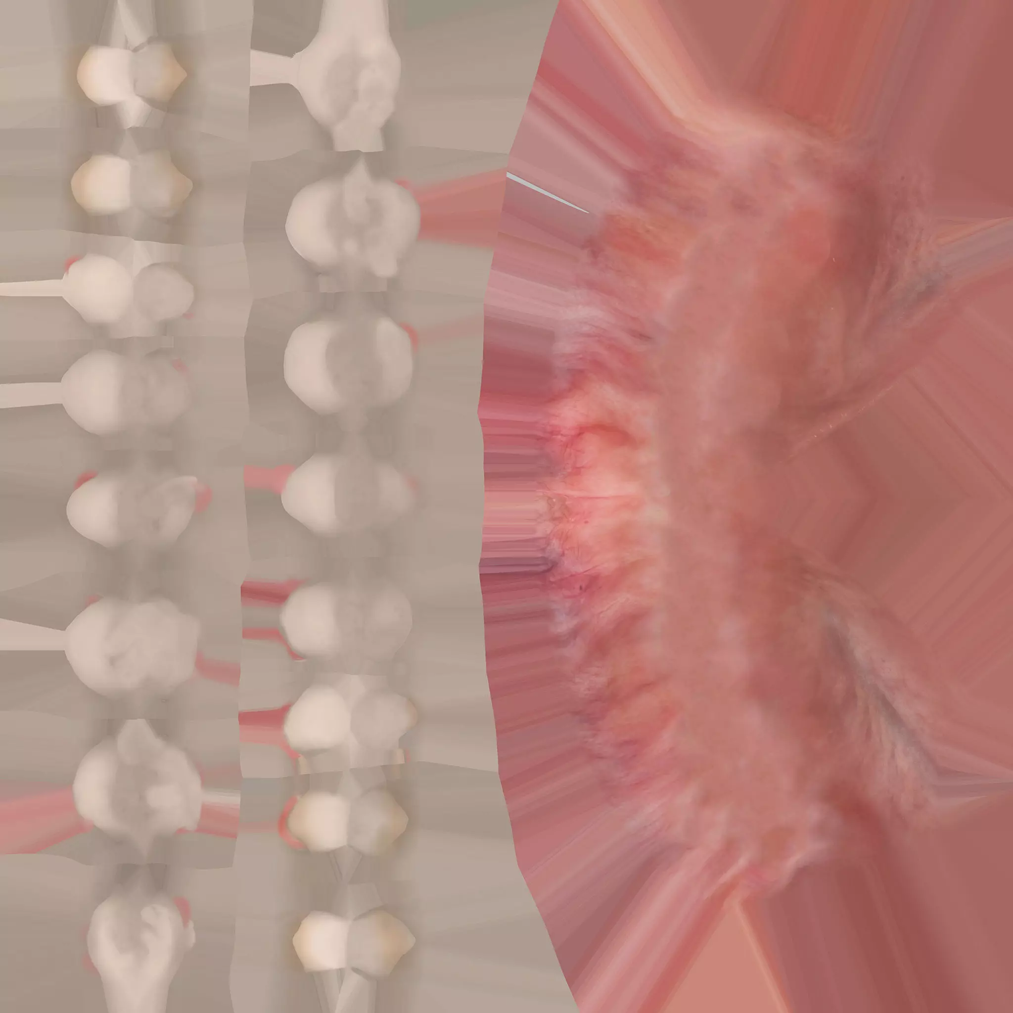 Realistic 3D Female Character riged High Poly Game Ready Low-poly 3D model_70