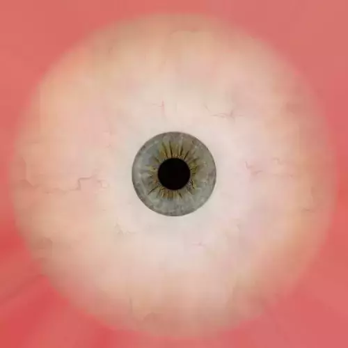 Realistic 3D Female Character riged High Poly Game Ready Low-poly 3D model Realistic 3D Female Character riged High Poly Game Ready Low-poly 3D model