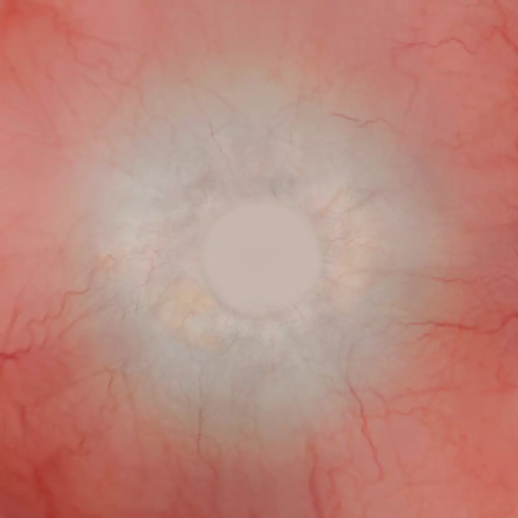 Realistic 3D Female Character riged High Poly Game Ready Low-poly 3D model_92