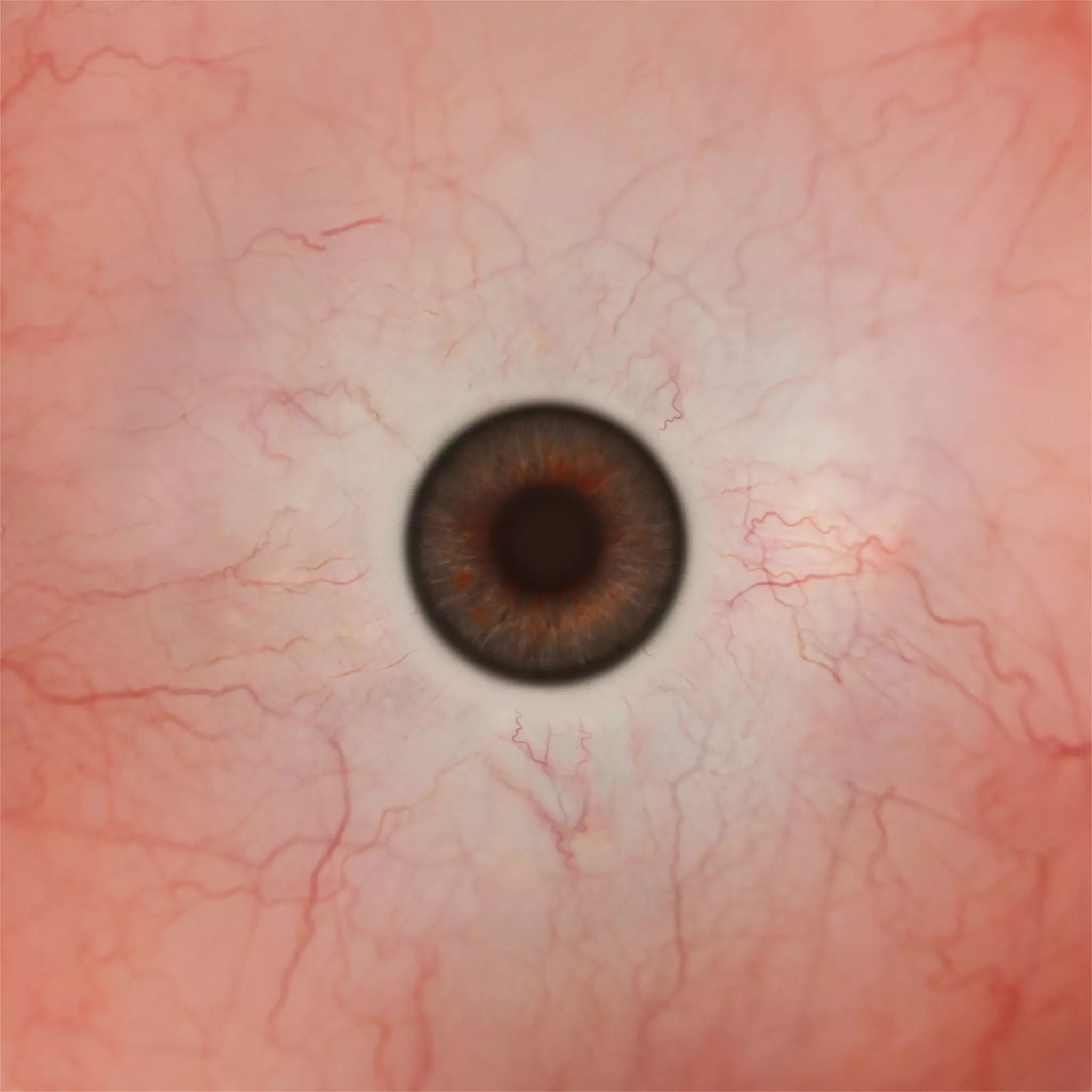 Realistic 3D Female Character riged High Poly Game Ready Low-poly 3D model_116