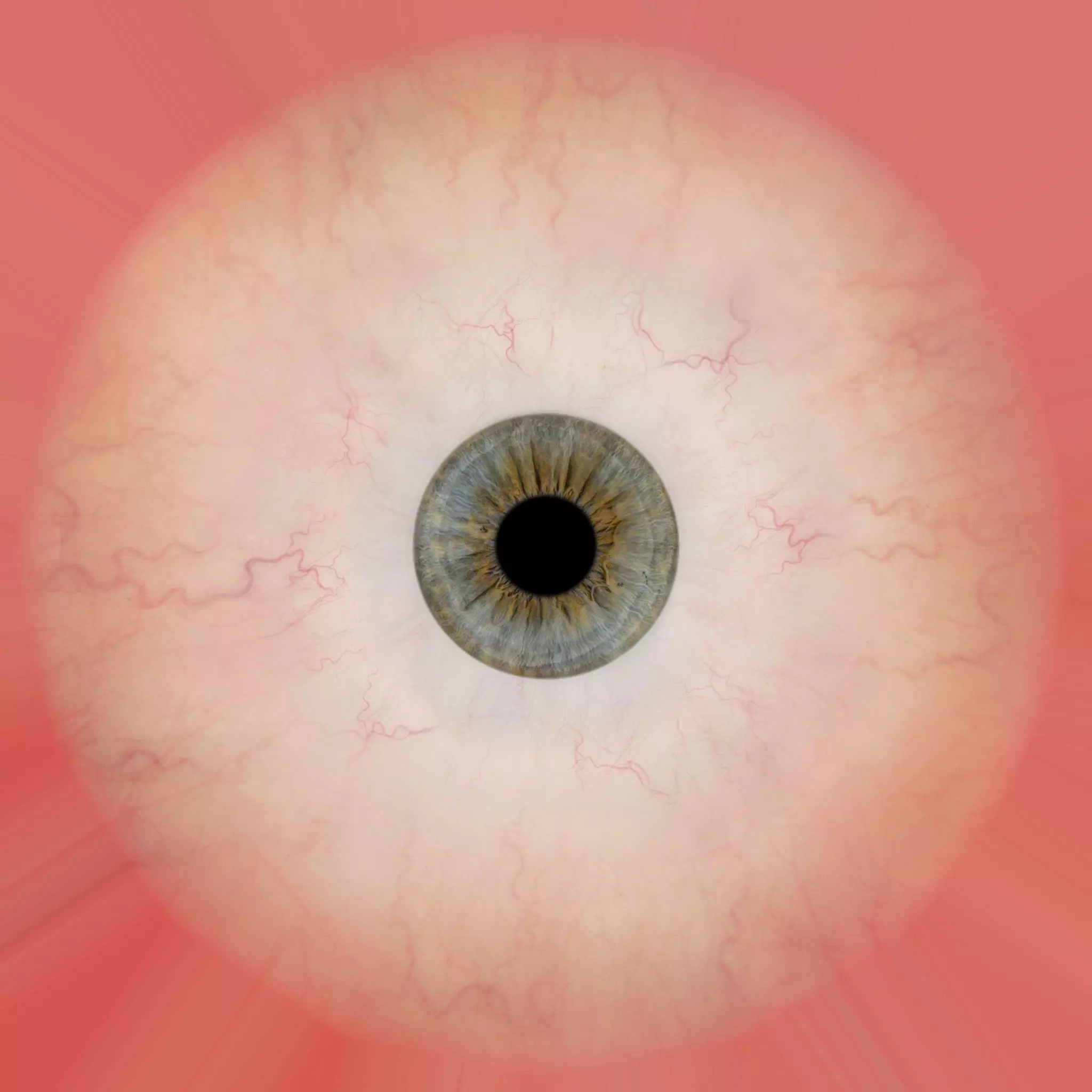 Realistic 3D Female Character riged High Poly Game Ready Low-poly 3D model_15